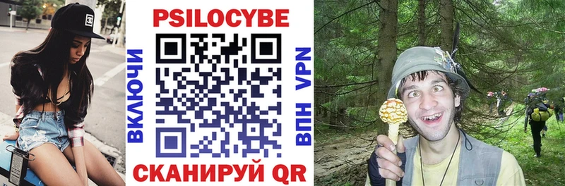 Псилоцибиновые грибы ЛСД  Стародуб 